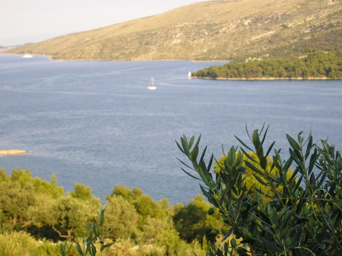 Apartment Marina Εξωτερικό φωτογραφία